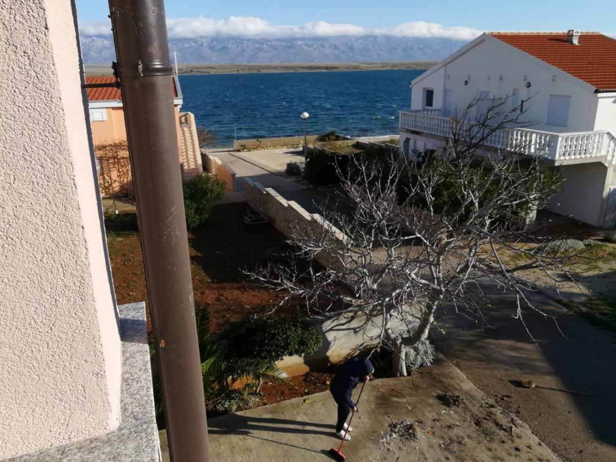 Apartmani Marija&Damir Vir Exterior photo